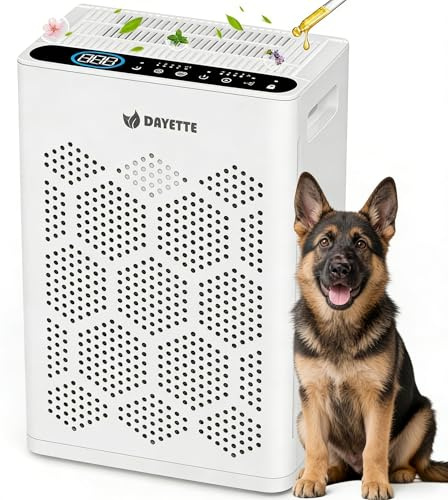 Luftreiniger für Allergiker, mit H14 HEPA Filtern & Waschbarem Vorfilter, CADR 250 m³/h, 3-stufiges Filtersystem, gegen Pollen, Tierhaare, Rauch & Raucherzimmer