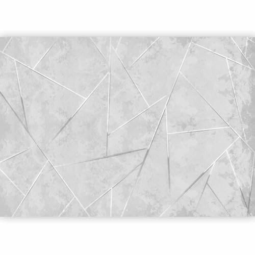 murando Fotomurales autoadhesivo Concreto 343x256 cm Papel Pintado | Decoración de Pared Murales Pegatina decorativos adhesivos 3d Fotográfico Abstracto geométrico gris