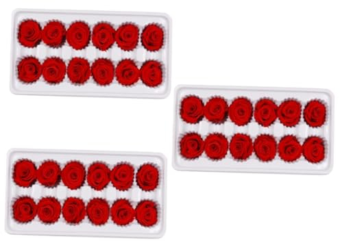 DECHOUS 36stücke Box Ewige Blumen Konservierte Rosen Für Hochzeitsdekoration Dekoration Geschenkidee Für Valentinstag Und Besondere Anlässe Rot
