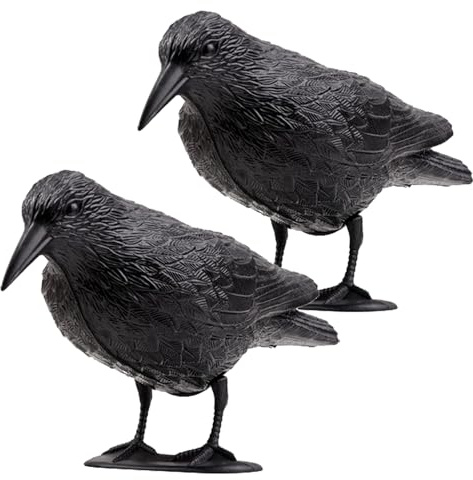 Tymar Rabe, Taubenschreck für Balkon, Taubenabwehr, Raben attrappe, Vogelabwehr aus Kunststoff (Rabe;2 Stück)