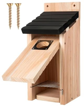 Bird House - Hangable Bird House | Uccelli per Esterni | Hout In Legno Di Legno Naturale Legno Decorazione Nocciola