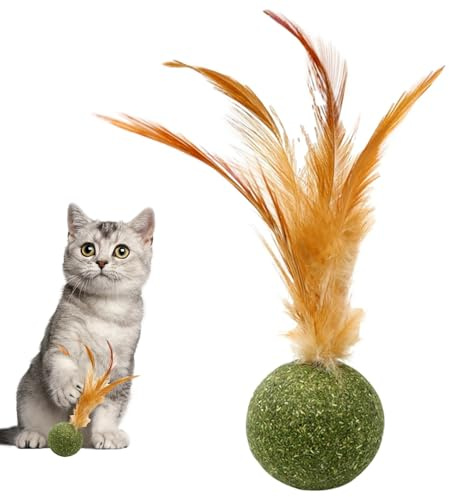 Djowyh Jouet à l' à Chat pour Chat - Jouet pour la Dentition avec Queue - Balle énergétique pour Soins dentaires, Exercice, Chasse Contre l'ennui, Stimulation mentale et intérieur et
