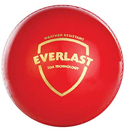 SG Everlast Balle de cricket en cuir Rouge Taille standard