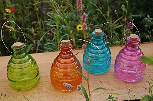 Glas Wespenfalle – Groß 15 cm Durchmesser. Garten Insektenfalle [Cyclamen]