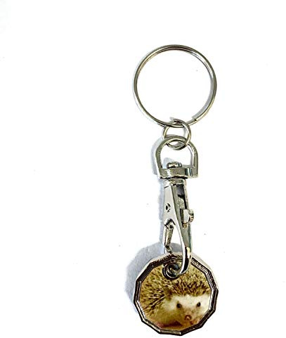 UK Phoenix Shopping Trolley Token 12 Sided New £1 Coin Key Ring Shape Locker Shop Market Supermarket Pound Coin Keychain Hook Reusable Handy Pound Token Gym Locker Troley