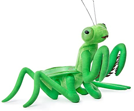 lilizzhoumax Gottesanbeterin plüschtier 33cm/13”, Simuliertes Tier Gottesanbeterin Plüschtier, Kawaii Heuschrecke, Realistische Insekt Plüsch Spielzeug für wilde Tiere, Geschenk für Freunde und Kinder