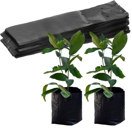 M METERXITY 100-Pack Plastic Nursery Growing Bags 6.7 x 13.8, Black | Thicken, Gardening Seed Plant Bags, for Potato, Flower, Tomato, Plant Starts, Home Gardening Supplies