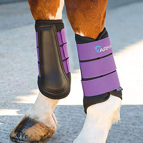 Shires Arma Sehnenschoner, Neopren, Pflaumenblau, violett, Small/Pony