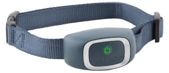 Collier Anti-aboiement PetSafe. Collier Anti-aboiement étanche de Base pour Petits, Moyens et Grands Chiens de 3,6 kg et Plus. Système de Dressage Anti-aboiement par Stimulation Statique pour Chiens