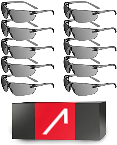 ACE FL-15G Arbeits-Brille im 10er Pack - beschlagfeste Schutzbrille für die Arbeit - Anti-Beschlag - EN 166 - Getönt