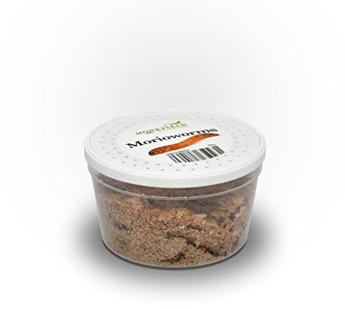 Monkfield Nutrition - Live Morioworms - 40-50mm - 40g Tub - Reptile Food - Live Worms
