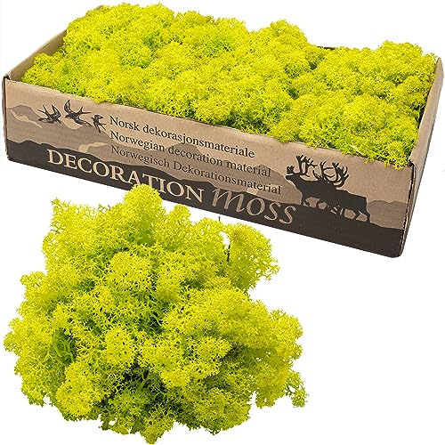 Flowerbox Karton Islandmoos Frühlingsgrün 500g