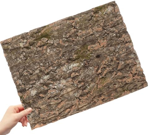 GRIRIW Decorazione Adatta per Pareti di Sfondo Corteccia di Naturale Struttura Robusta e Resistente e Arrampicata di Lucertole per Terrari Rettili