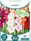 Verdecora Bulbos de Gladiolo Pack 50 Uds | Gladiolus spp. | Bulbos de Floración Espectacular | Ideales para Jardines y Arreglos Florales