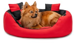 lionto Hundebett 4-in-1 mit Wendekissen, 65 x 50 cm, Schwarz | Robustes, wasserabweisendes Haustierbett mit Oxford-Bezug, herausnehmbarem Kissen und tiefem Einstieg für Hunde und Katzen