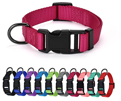 AUDWUD Dickes Nylonhalsband,klassisches verstellbares Hundehalsband in Mehreren Farben,geeignet für kleine,mittlere und große Hunde,4 Größen