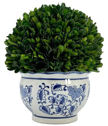 Galt International 9.5 Naturally Preserved Real Boxwood Ball in Hand-Painted Round Bulb Blue & White China Pot Planter Green Indoor Plant Home Decor (9.5 Tall Topiary)