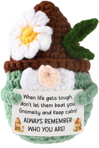 Positive Knitted Gnome Doll, Adorable Handcrafted Crochet Inspirational Gnome with Encouragement Emotional Card Funny Positive Support Toy for Coworker Friend Gift Decorations