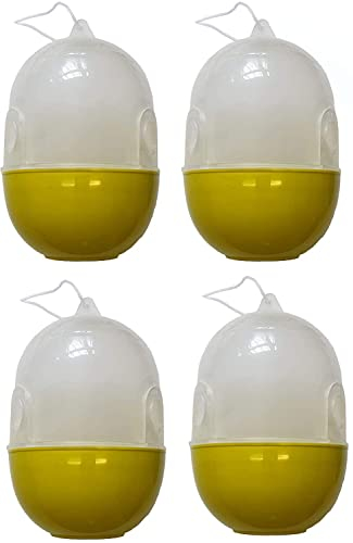 Trappola per vespe, mosche, api, vespe, bombi, vespe, per Appendere, calabroni e insetti (4)