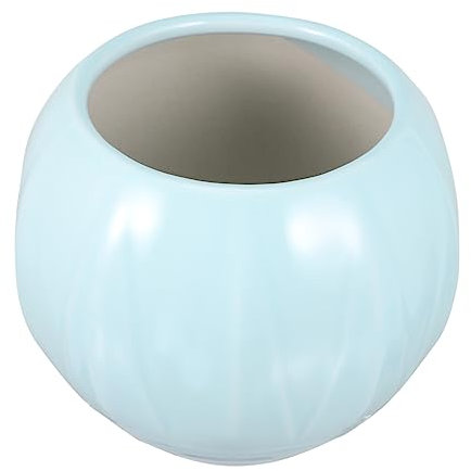 SUPVOX Pot De Jardinage Conteneur De Plantes Jardinière Soucoupes pour Plantes Décoration Dintérieur Chic en Céramique