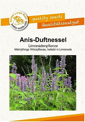 Kräutersamen Anis-Duftnessel (Mexikanische Minze), Agastache Portion