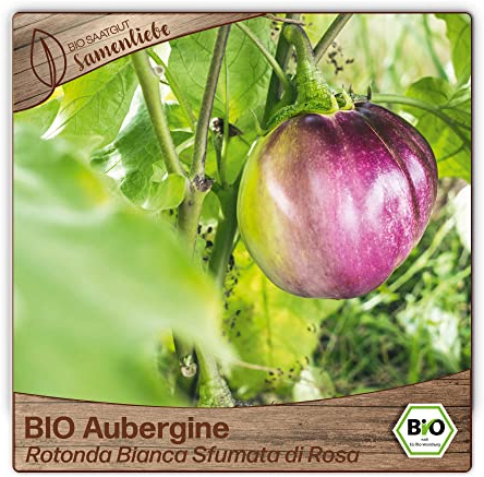 Samenliebe BIO Auberginen Samen alte Sorte Rotonda Bianca Sfumata di Rosa baby Aubergine runde Eierfrucht rosa weiß 10 Samen samenfestes Gemüse Saatgut für Gewächshaus Freiland und Balkon