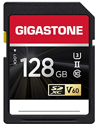 GIGASTONE 256GB SDXC Speicherkarte mit USB Typ C Kartenleser, 4K Kamera Pro, bis zu 100 MB/S, Digitalkameras Canon Sony Olympus, A1 UHS-I U3 V30 Klasse 10, 4K UHD Videoaufnahmen