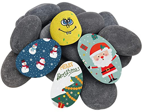 Hisredsun 16 pièces Pierres Plates à Peindre, 4-7 cm Grands Galets Lisses, Pierres décoratives Pierre Naturelle,Pierre de rivière Naturelle pour Peindre Mandala,Jardin Zen,Pots de Fleurs et Aquariums