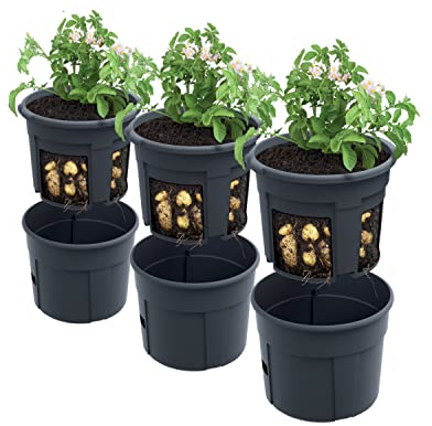 PAFEN 3 x Potato Growing Plant Pot - 295 x 235 mm - Potato Plant Pot