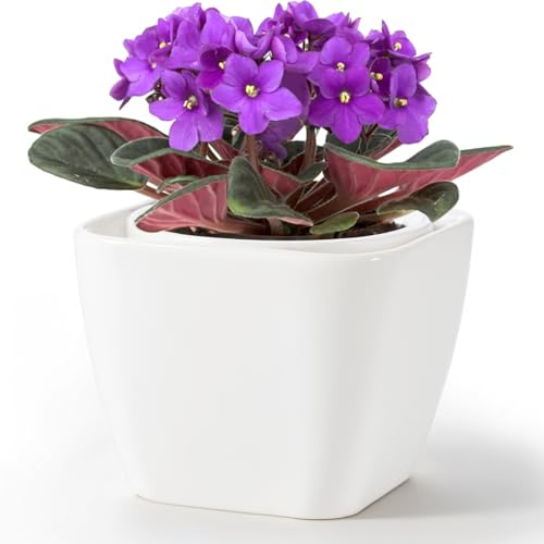 BUYMAX Macetas de color violeta africano, macetas de cerámica con autorriego para plantas de interior, maceta de fácil riego para los amantes de las plantas ocupadas, absorbe automáticamente la