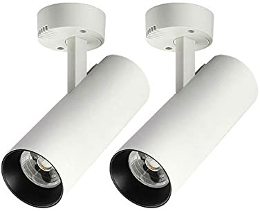 Foco de Techo LED de 2 Piezas, aesorio de iluminación de Acento de Montaje ficial, lámpara de Techo de Metal con luz descendente Ajustable, focos direionales Modernos para galerías y Pasillo