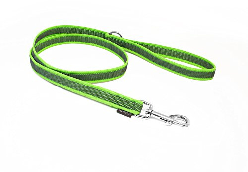 Mystique Gummierte Nylonleine für Hund, 2m, Grün