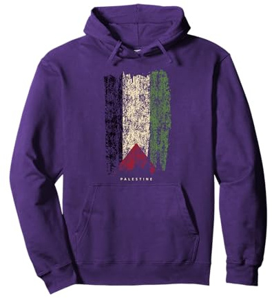 Bandiera Palestina Vintage origini Palestina Felpa con Cappuccio
