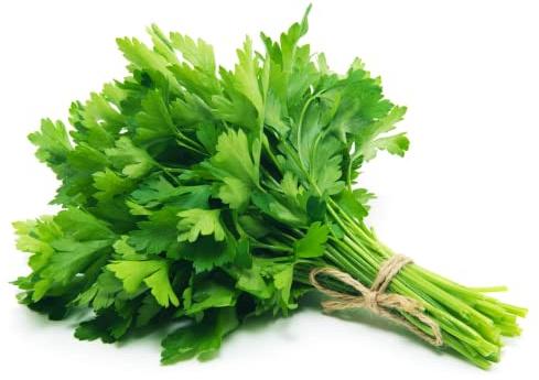 Fresh Parsley 10 Bunch – Premium Aromatic Herb – Ideal for Cooking, Garnishing & Salads – Farm Fresh and Naturally Grown