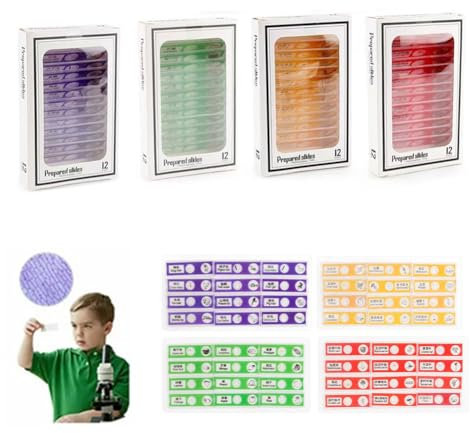 Cutiolly Mikroskop Objektträger mit Proben für Kinder,48pcs Objektträger Mikroskop,Präparierte Objektträger,4 Farben Biologische Probe Pflanzen,Tiere,Gemüse,Obst