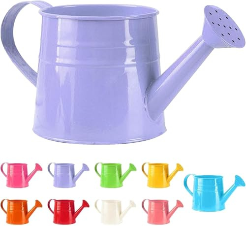 Small Watering Can for Indoor Plants, Mini Houseplant Watering Can with Handle, for Indoor/Outdoor Garden Home Plants(1pc)