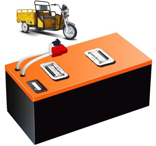 WSDAV Batteria al Litio per Moto 48V 60V 72V Batteria agli ioni di Litio 45Ah 60Ah 80Ah 100Ah con Caricabatterie per Motore 0-7200W,72v60ah