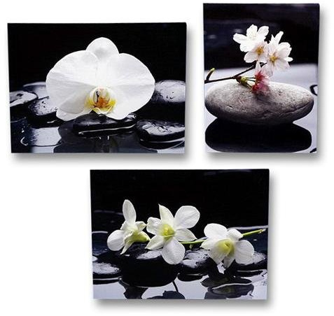 Geschenkestadl 3 er Set Wandbild blühende Orchidee auf Stein je 30cm x 40cm Leinenbild Feng Shui