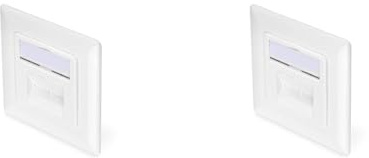 DIGITUS Anschlussdose Cat-6A - 2 Port RJ45 - Unterputz Netzwerk-Dose - Zuführung Vertikal - Designfähig - Reinweiß (Packung mit 2)