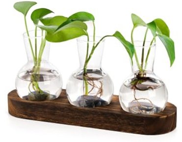 Pflanzen Terrarium Glas Vasen mit Holzständer, Propagation Station Glasvase, Hydrokultur Vase, Für Hydrokultur Pflanzen Vintage Dekovase Mit Holzregal Für Hause Büro Wohnzimmer Küche (3 Glaskugeln)