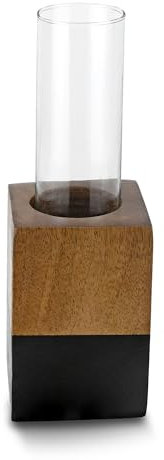 Aeravida Square Twotone Mango Tree Wood Stand Glass Tube Water Propagation Plant Vase