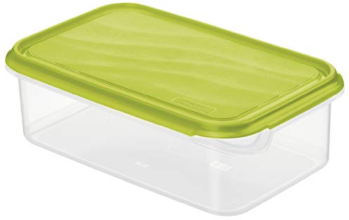 Rotho Rondo Latta per Alimenti Freschi con Coperchio, Plastica (PP) senza BPA, Trasparente/Verde, 1.5 L, 24.0 x 16.0 x 7.5 cm