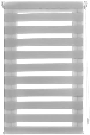 INTERBLIND Rollo für Nacht und Tag, Montage ohne Werkzeug, EasyFix, 140 x 150 cm, ohne Bohren, 137 x 145 cm, Grau