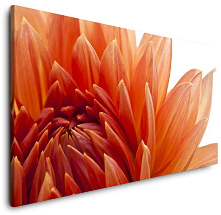 orange Dahlien Blüte 120x 60cm Panorama Leinwand Bild XXL Format Wandbilder Wohnzimmer Wohnung Deko Kunstdrucke