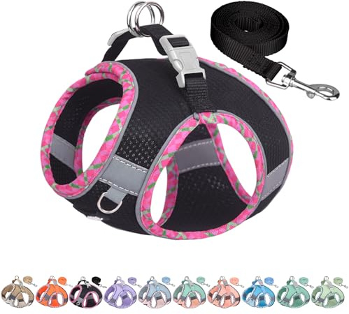 AIITLE Ensemble Harnais et Laisse pour Chien pour la Promenade, Harnais pour Chiot, Bandes réfléchissantes, pour très Petits Chiens et Chats domestiques Noir XXS