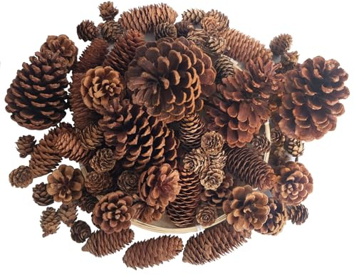 Senlwod 50PCS Natural Pine Cones Pinecones for Crafts Pinecone Ornaments for Christmas Tree,Wreath Making,DIY Crafts,Vase or Table Bowl Fillers, Winter Holiday Decor