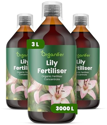 Fertilizzante liquido organico 3x1L per giglio – crescita vigorosa e fogliame sano – Organifer