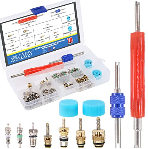 Glarks 78Pcs Auto Klimaanlage Ventil Kern Schrader Ventilkerne Zubehör A/C R12 R134a Kühlreifen Ventil Stamm mit Doppelkopf Entferner Installer Werkzeug Sortiment Kit