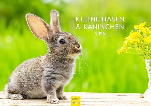 Edition Seidel Premium Kalender Kleine Hasen & Kaninchen 2025 Format DIN A3 Wandkalender Tierkalender Häschen Mümmler Tierkinder Wildtiere Waldtiere Haustiere