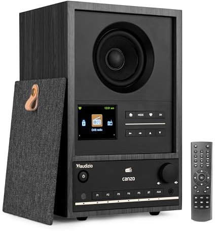 Audizio Canzo - Radio por Internet Dab+ FM con Bluetooth 5.3, USB, Altavoz 40W, Pantalla LCD a Color, WiFi y LAN RJ45, Panel extraíble, Entrada Auxiliar, Mando Incluido, Color Gris Oscuro
